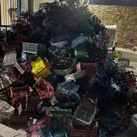 خریدسبدمیوه وکارتن موزی