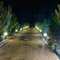 فروش زمین باغ شهری