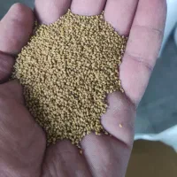 بذر یونجه تضمینی