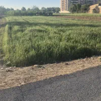 زمین-با-کاربری-مسکونی-خ-کاتب-رهنان
