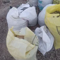 کودبلدرچین و جوجه بلدرچین و تخم نطفه دار