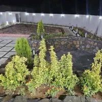 باغ و باغچه