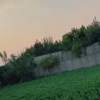 کود حیوانی خشک