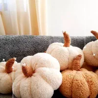 دکوراسیون خاص به سبک بوهو و مینیمال