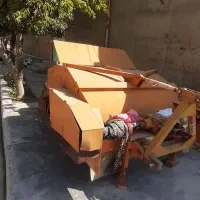 برگ زن (سر زن چغندر)