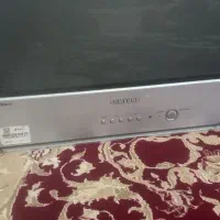 تلوزیون