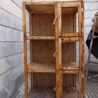 مایه کبوتر