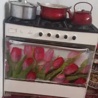 گاز|اجاق گاز و لوازم برقی پخت‌وپز|صالح آباد (ایلام), |دیوار