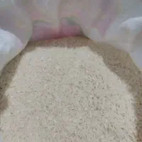 برنج هاشمی خانگی از دست خانه دار