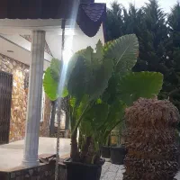 ۲۴۰ متر ویلایی تاپ لوکیشن