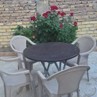 صندلی و میز ناصر