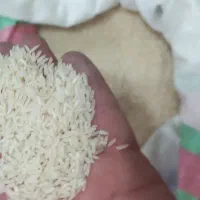 برنج دمسیاه غیر دودی