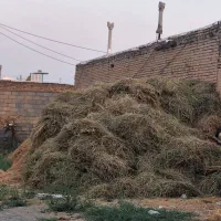 یونجه بسته بندی باغ