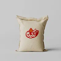 طراحی لوگو