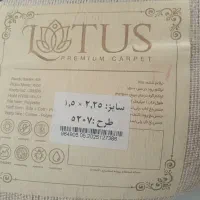گلیم|گلیم، جاجیم، گبه|نیشابور, گمنام غربی|دیوار