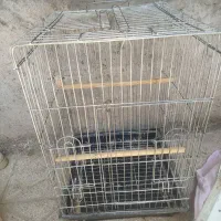 قفس کاسکو