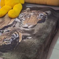 تخت دونفره بدون تشک