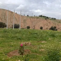 زمین-کشاورزی-با-سند-تک-برگ