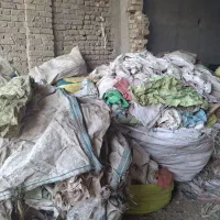 نیازمند همکار خانم