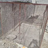 فنس آهنی