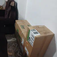 گولر گازی گرین