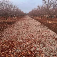 زمین باغ۲۵۰  تا ۱۰۰۰ متر‌ اقساط سنددارجابان دماوند