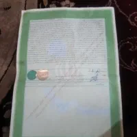 زمین ۱۰۰متر