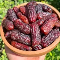 فروش عمده خرما پیارم