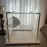 باکس شیشه ای بله برون،سایز بزرگتکی