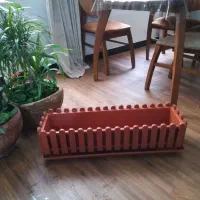 باسلام یک باکس گیاه کاکتوس زیبا برای محیط