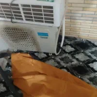 کو لر