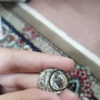 شجر موکل دار