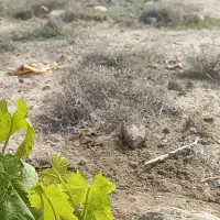 تعویض زمین باواحد