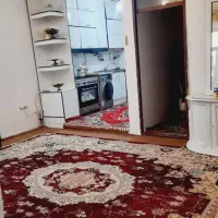 فرش ۱۲ متری دو عددسالم