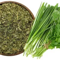 انواع سبزی خشک 100 گرمی