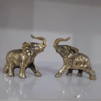 فیل برنز