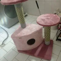 خانه گربه نو نو