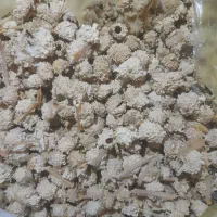 شکروک