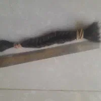 موبدون رنگ
