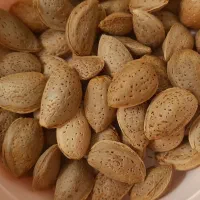بادام تازه درجه یک درشت  شیرین بدون تلخی