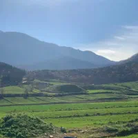سیم کارت ایرانسل