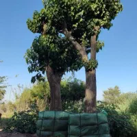 مشارکت-در-ساخت