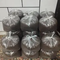 چایی کله مورچه ای