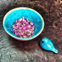 تدریس زبان انگلیسی خانم