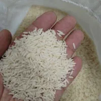 برنج هاشمی ممتاز