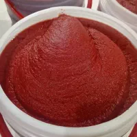 رب گوجه