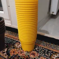 گلدان  مرغوب نو