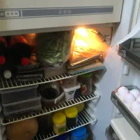 یخچال فیلور