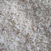 لاشه برنج هاشمی درجه یک