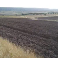 زمین کشاورزی هشت هزار وپونصدهفتادمتر